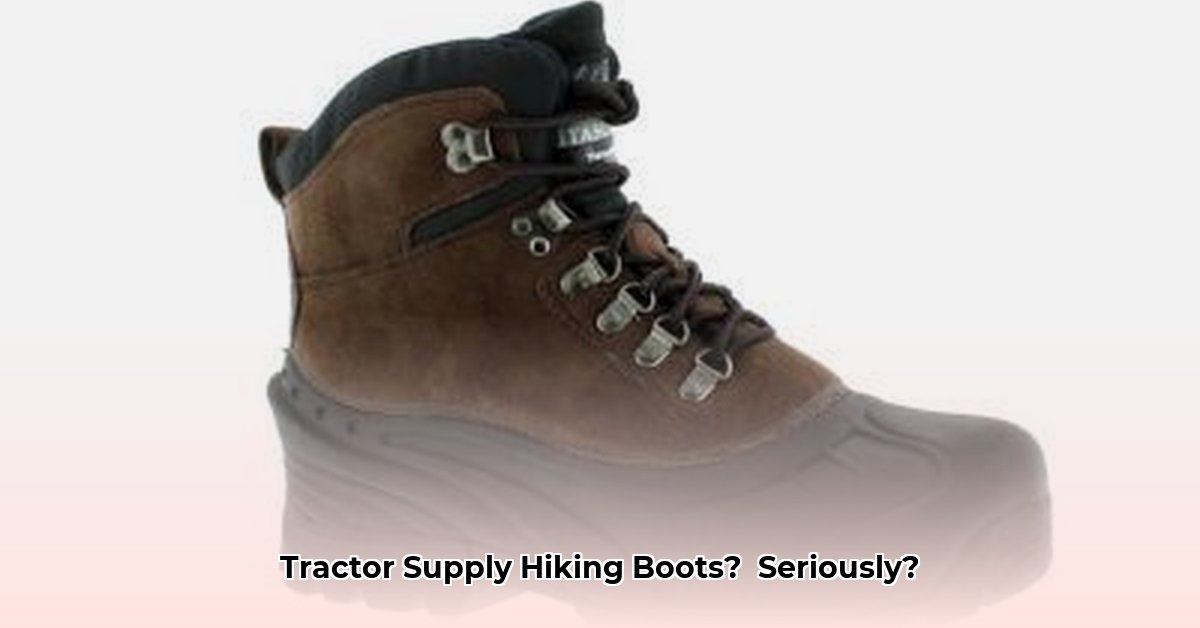 hiking-boots-tractor-supply